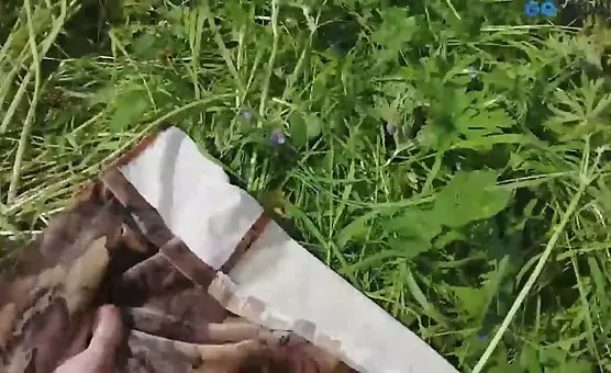 POV Fucked by Man Outdoor, Amazing Ass and Pussy from Behind